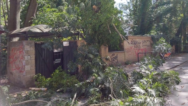 Česko zasáhl silný vítr, padají stromy a poškozuje střechy. Kde hrozí nebezpečí?