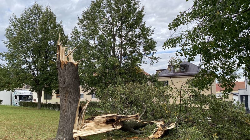 Silný vítr, blesky i strašidelný hukot: Ve Vysokém Mýtě úřadoval downburst
