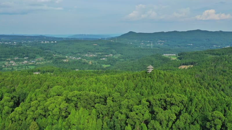 Smrt v přímém přenosu: Influencer se během streamu zřítil s vrtulníkem