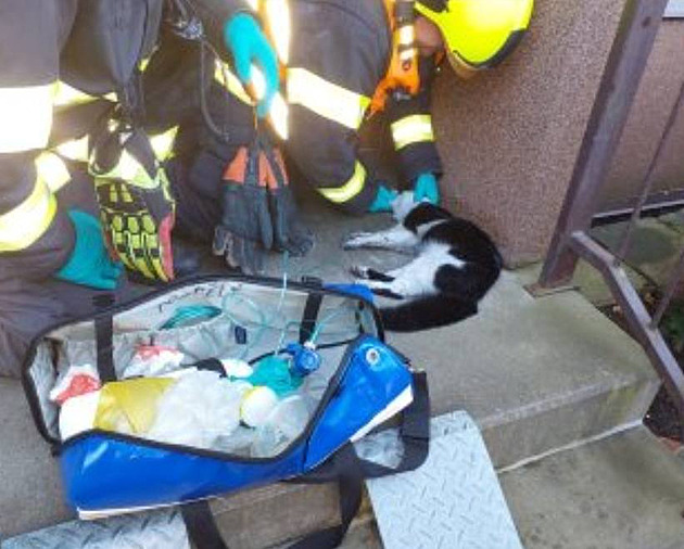 Při likvidaci požáru bytu hasiči oživovali kočku, druhou už nezachránili