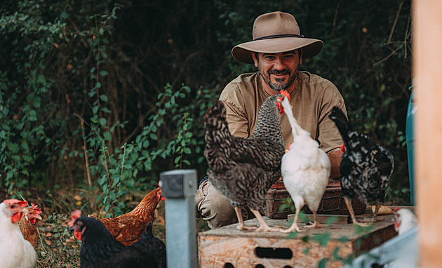 Kotek na své farmě honí hodně zajíců najednou. Průšvihy si ho vychutnají