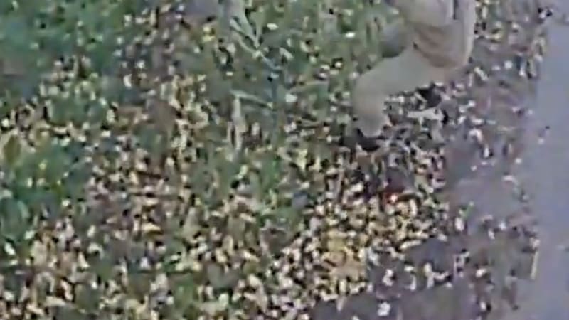 Záběry ukrajinské likvidace. K explozím docházelo v bezprostřední blízkosti okupantů