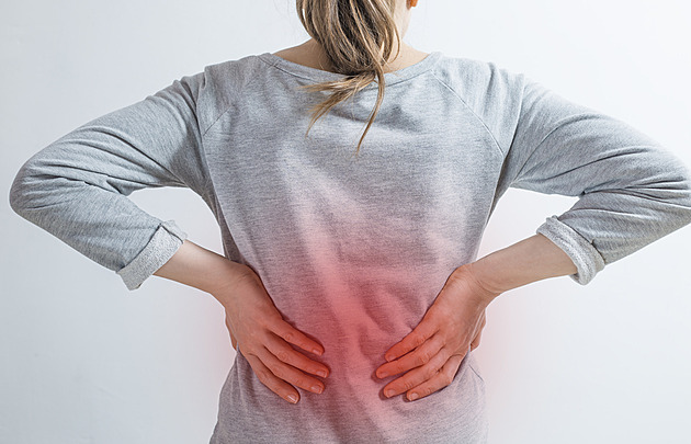 Stačí přinést ranní moč. Lékaři nabídnou bezplatné vyšetření ledvin