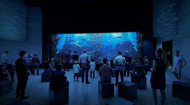 Loděnka už roste, největší žraločí akvárium v Česku ukazuje nové vizualizace