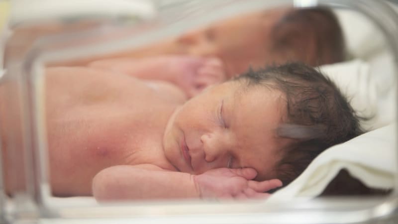 Nenápadná hrozba souvisí se smrtí tisíců novorozenců. Vědci ukázali prstem na běžné plasty