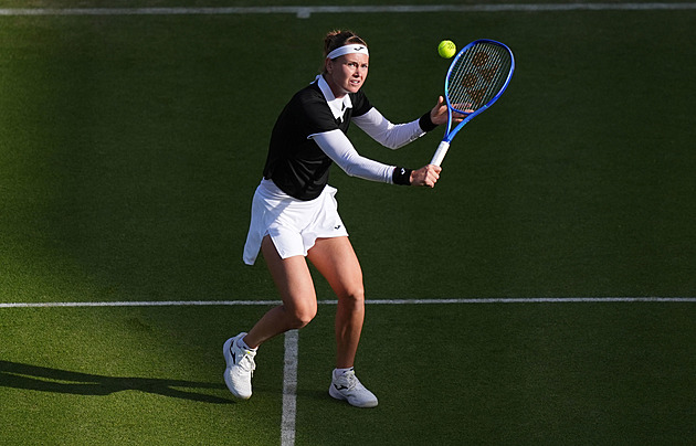 Bouzková - Navarrová živě v TV: Kde sledovat finále turnaje v Nottinghamu