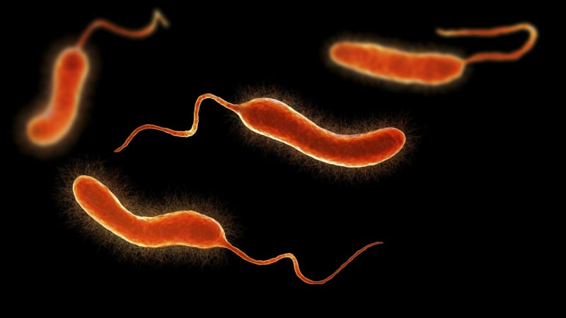 Šíření masožravé bakterie nahání strach. Počet úmrtí v Louisianě znervózňuje úřady 
